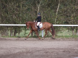IMG_7849_web
